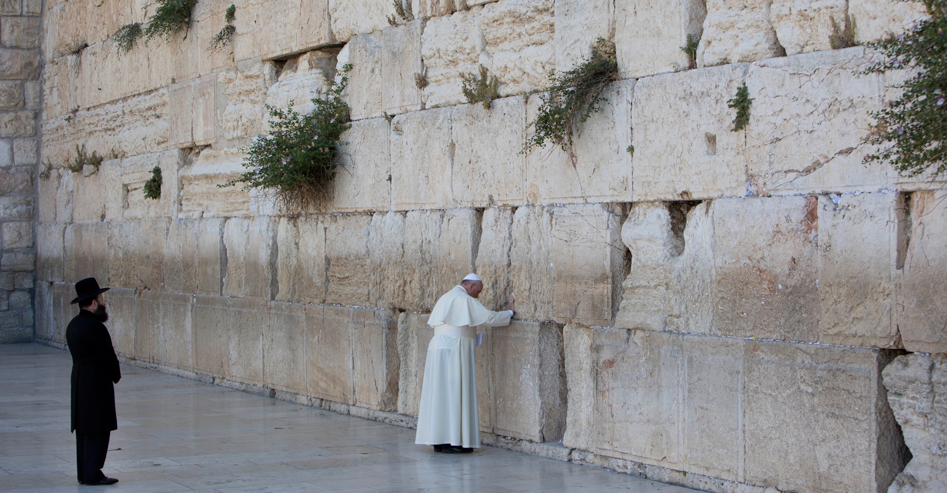 WALL: DEFEND, DIVIDE, THE DIVINE